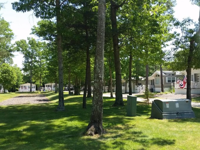 view of homes at Carol Lynn Resorts East